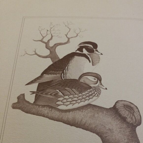 Vintage American Waterfowl Etching/Print Lynn Forehand 5 of 5 Cottagecor… - Picture 7 of 7